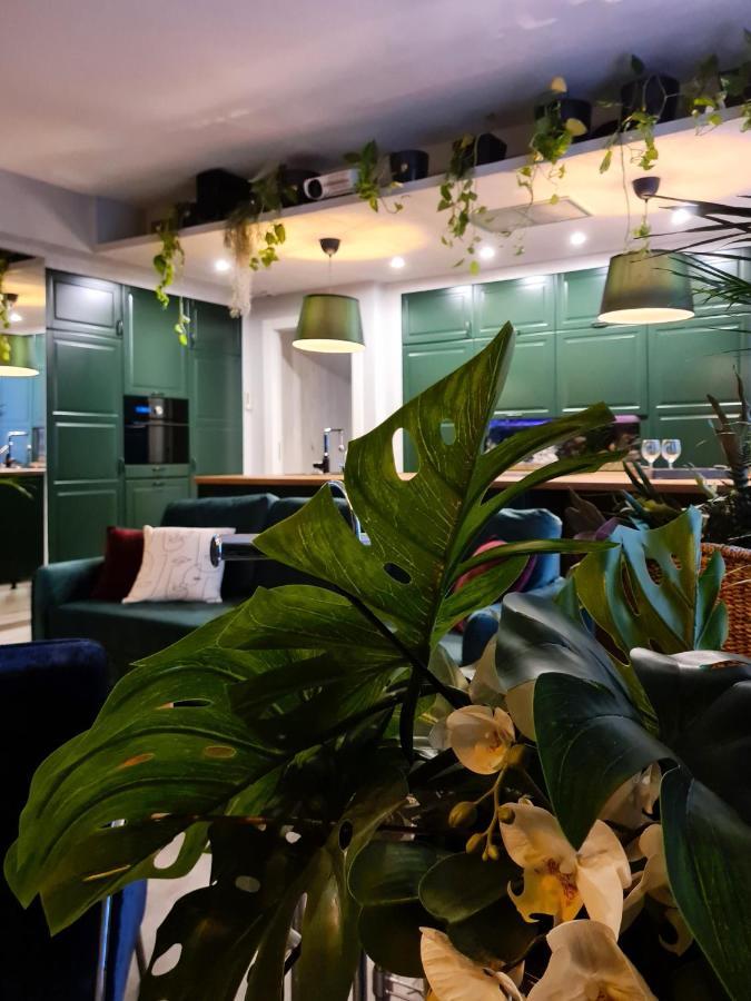 Serendipity Apartments - Montenapoleone มิลาน ภายนอก รูปภาพ